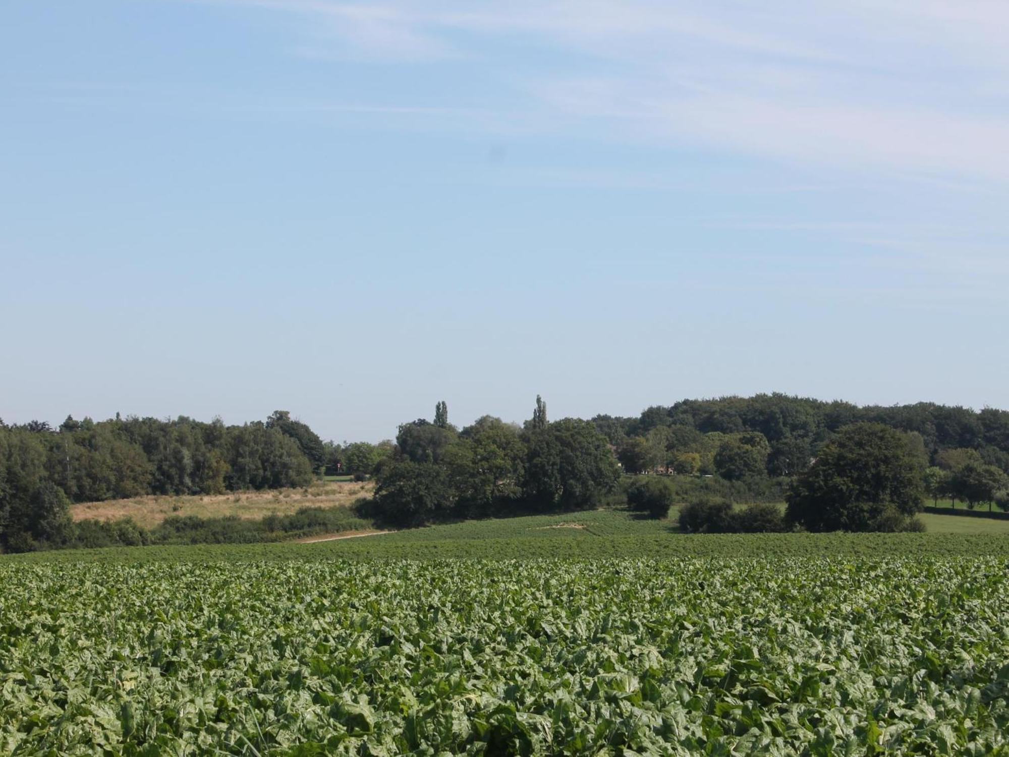 Landsraderhoefke - 4 Heijenrath Eksteriør bilde