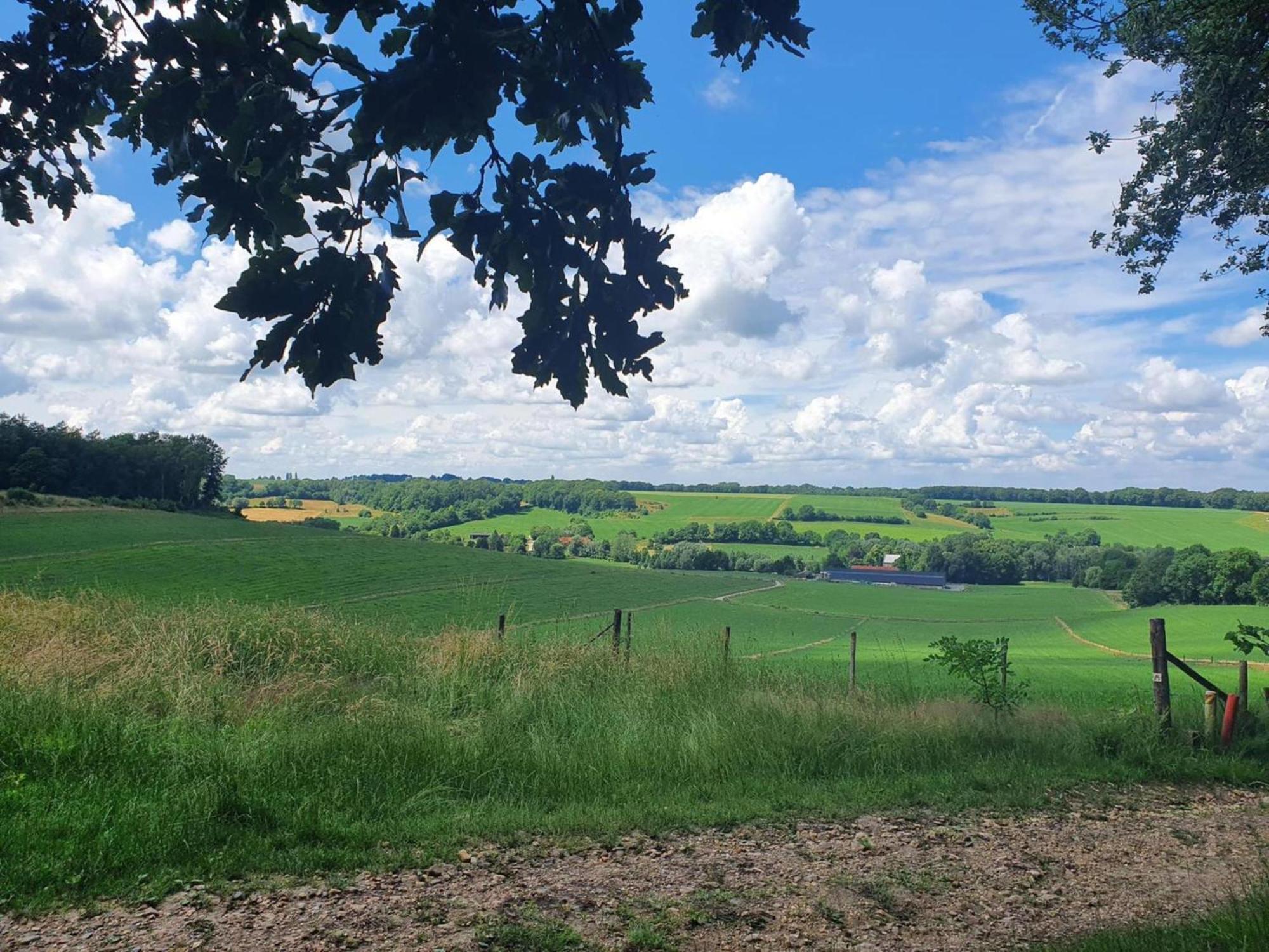 Landsraderhoefke - 4 Heijenrath Eksteriør bilde
